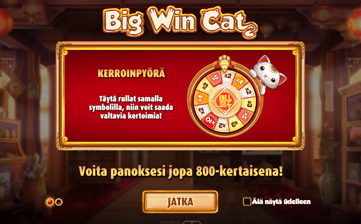Big Win Cat Arvostelu