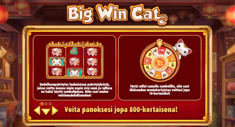 Big Win Cat Bonukset