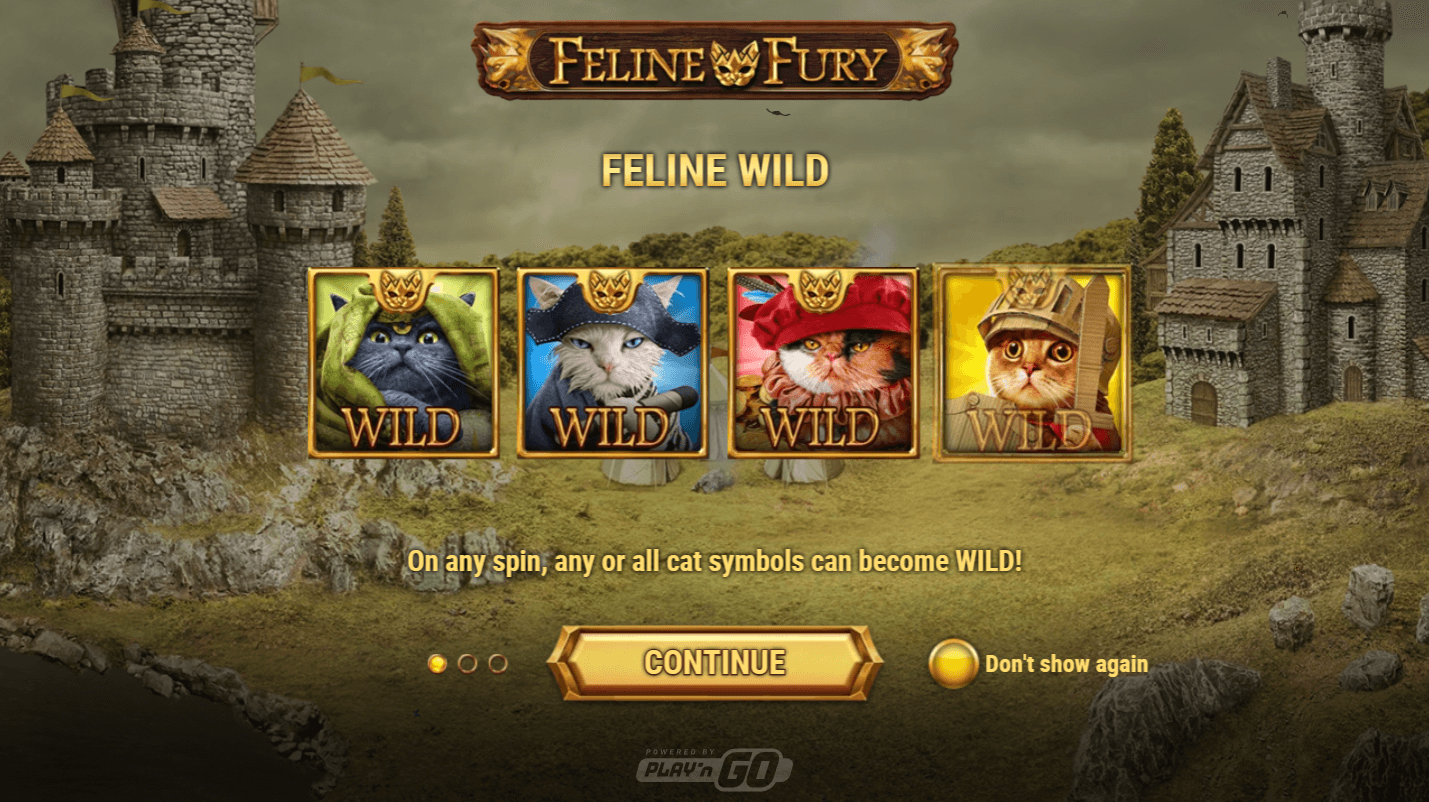 Feline Fury Arvostelu