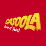 Casoola side logo review