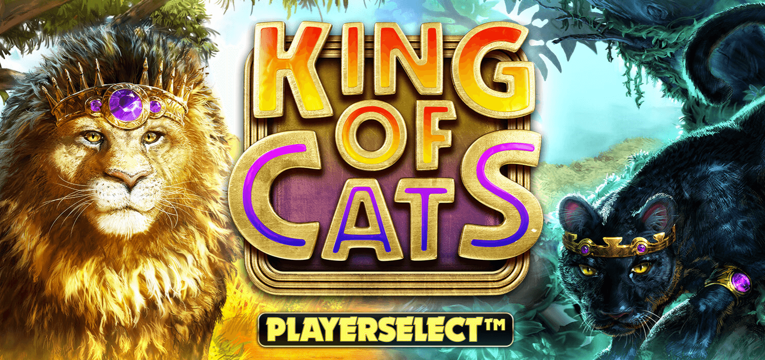 King of Cats Arvostelu