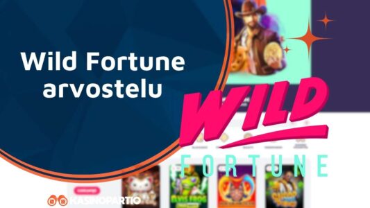 Wild Fortune arvostelu