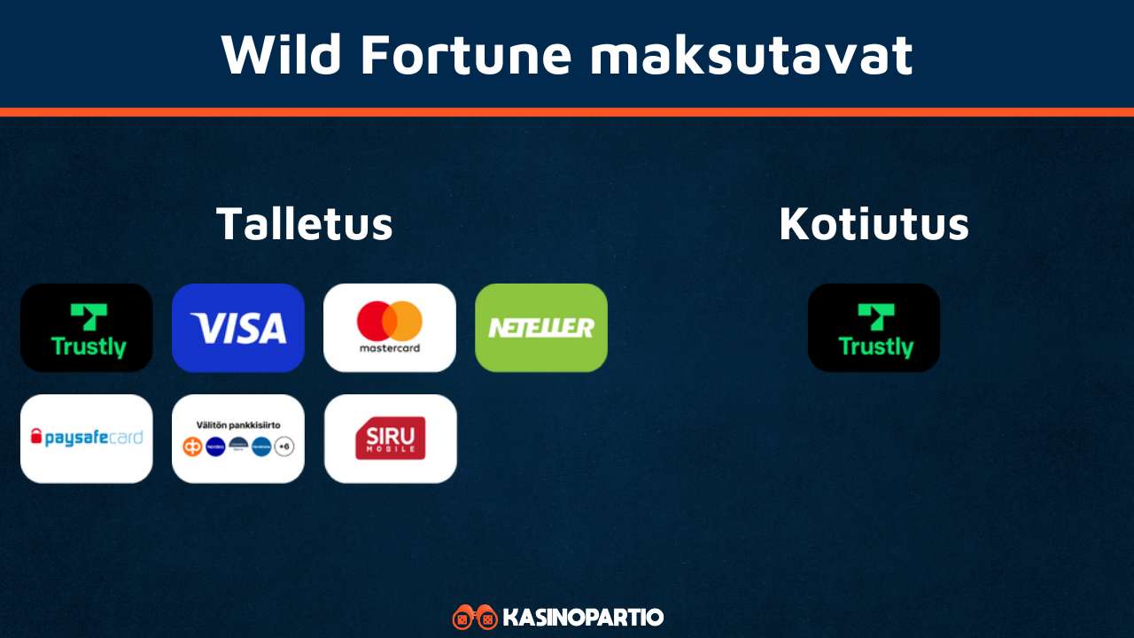 Wild Fortune Maksutavat