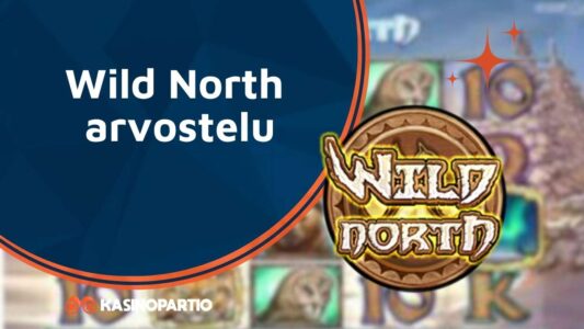 Wild North Arvostelu