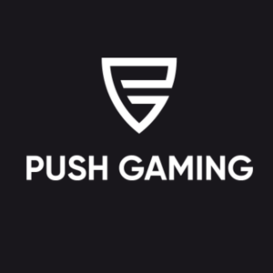 Push Gaming side logo review