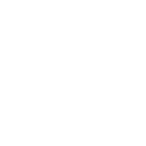 Playtech logo