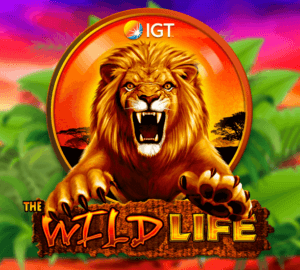 The Wild Life  logo arvostelusi