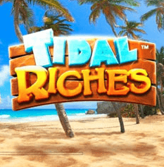 Tidal Riches  logo arvostelusi