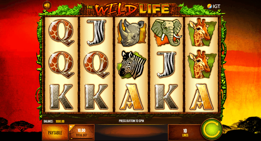 The Wild Life Arvostelu