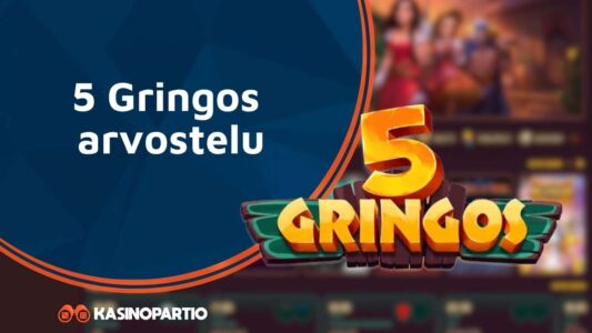 5 Gringos arvostelu