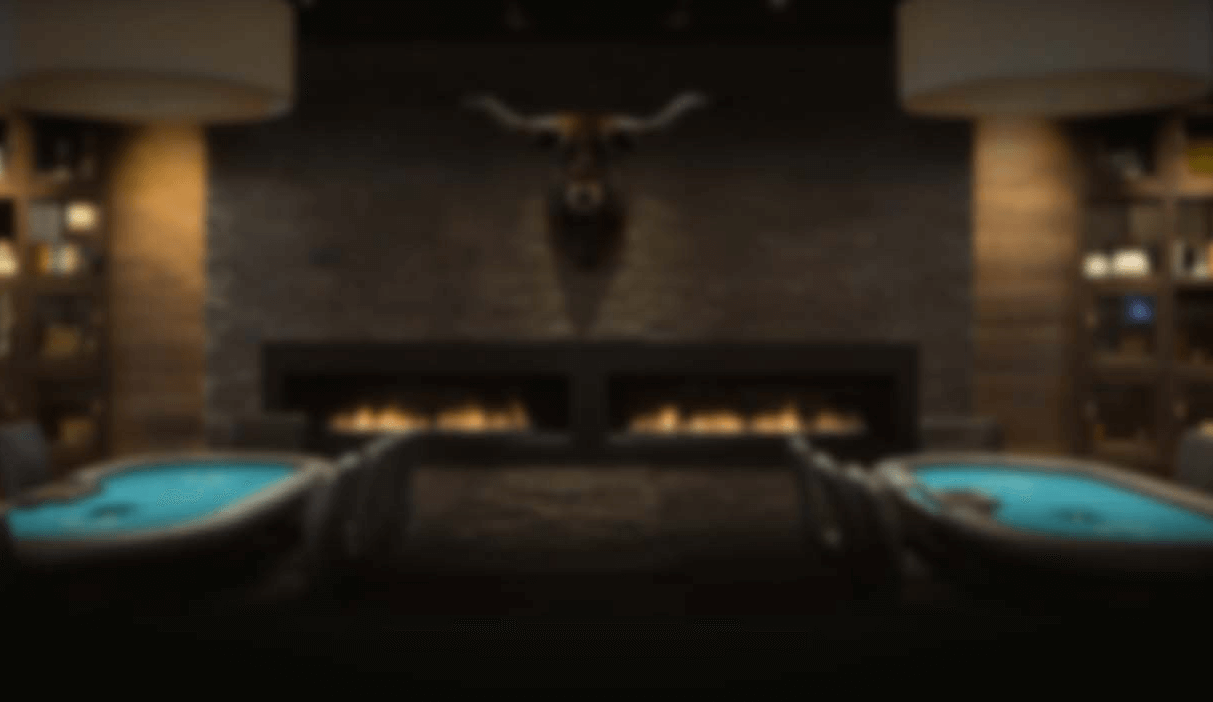 Poker King Arvostelu