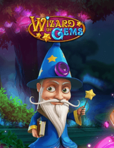 Wizard of Gems logo arvostelusi