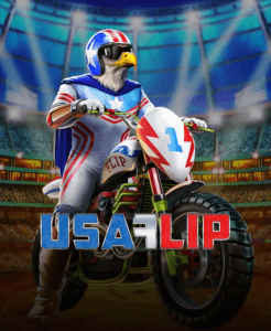 USA Flip  logo arvostelusi