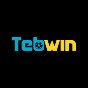 TebWin side logo Arvostelu