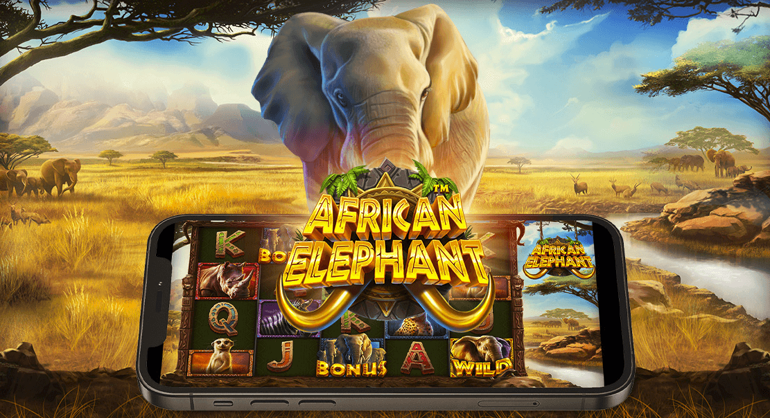 African Elephant Arvostelu
