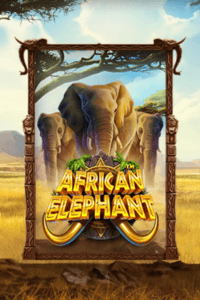 African Elephant logo arvostelusi