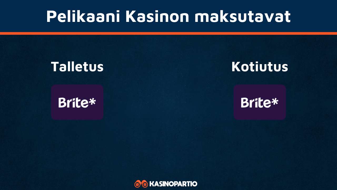 Pelikaani Kasino maksutavat