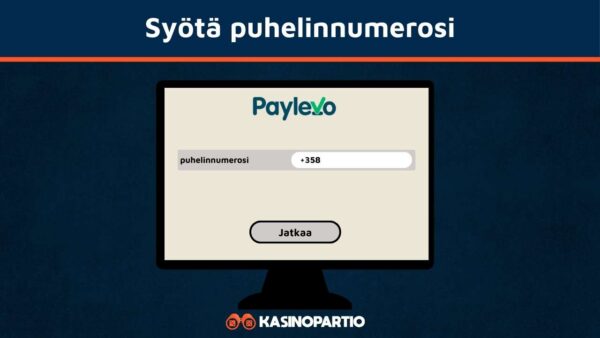 Syötä puhelinnumero Paylevon ikkunaan