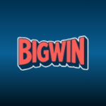 Bigwin Casino side logo review
