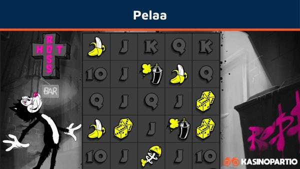 Pelaa nettirahapeliä