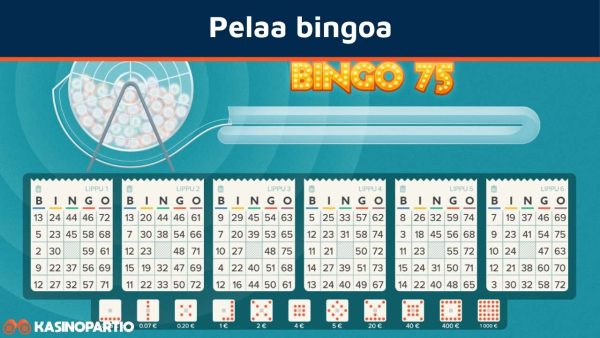 pelaa bingoa