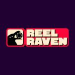 ReelRaven Casino side logo review